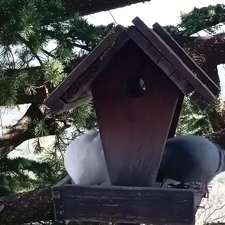 Gasthuis Casa Valletta 3*