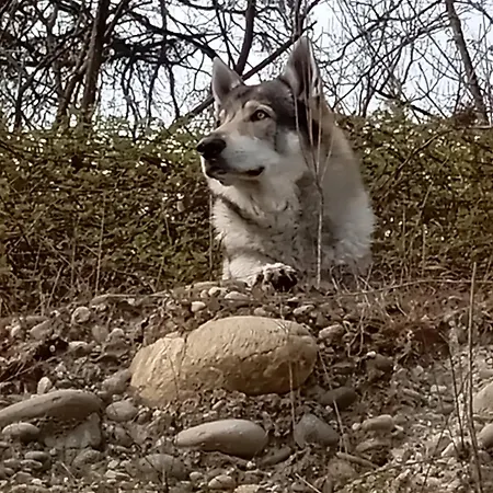 Konukevi Casa Valletta 3*