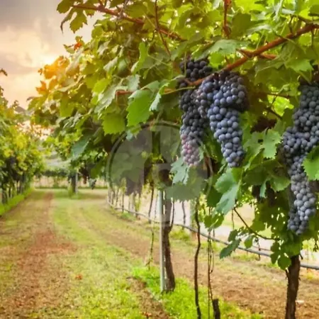Gasthuis Casa Valletta