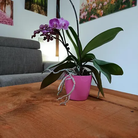 Gasthuis Casa Valletta