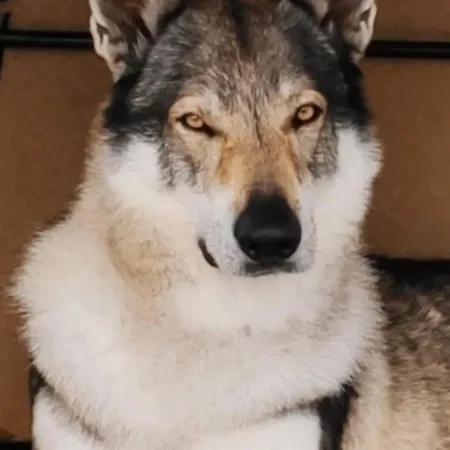 Gasthuis Casa Valletta 3*