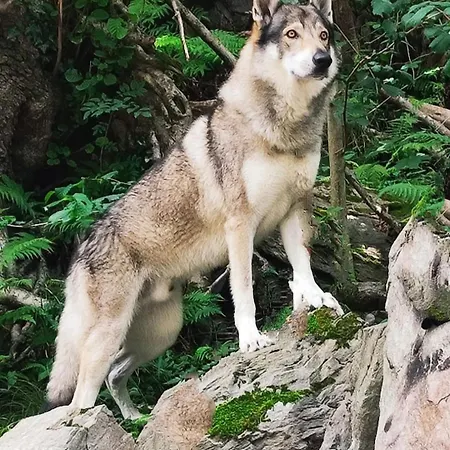 Casa Valletta Gasthuis Mezzomerico